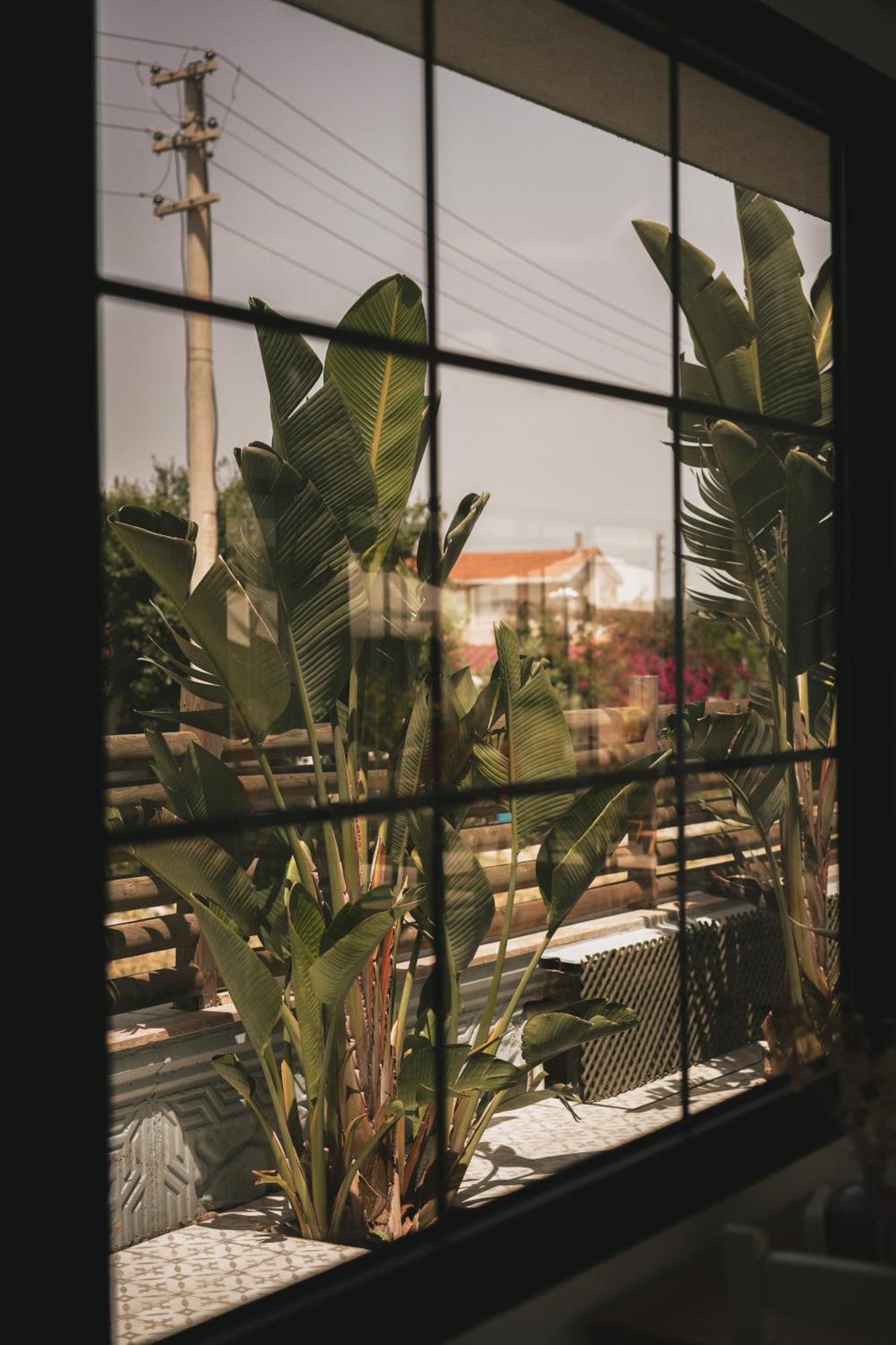 La Vida Otel ウルラ エクステリア 写真